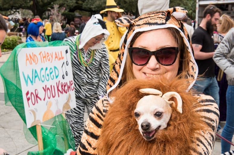 Barkus