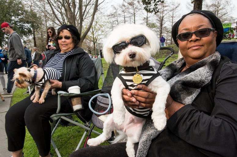 barkus