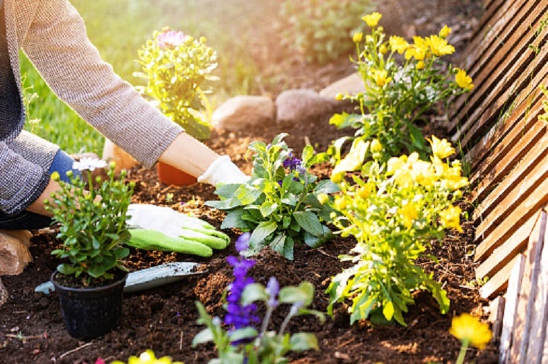 Southern Spring Home and Garden