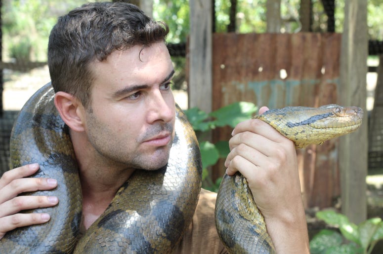 dating an animal lover