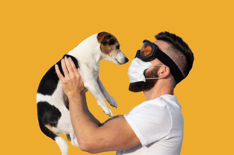 your dog smells