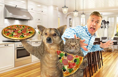 matt harris pizza night