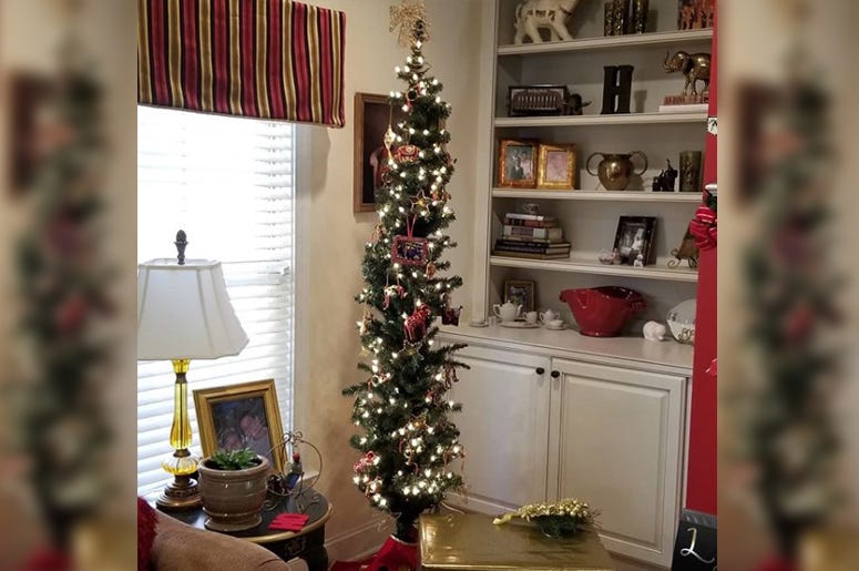 ramona skinny christmas tree