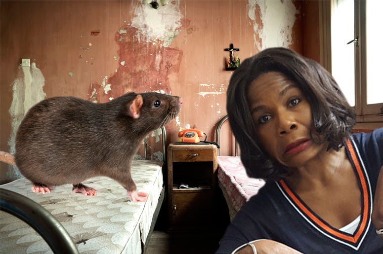 hotel horror stories matt & ramona