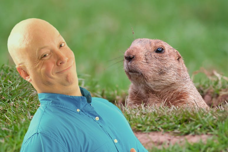 bandy woodchuck