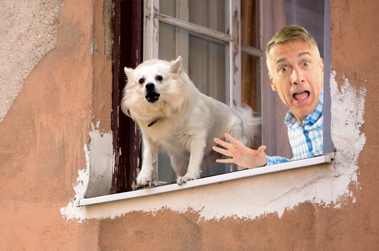 matt harris jill dog barking
