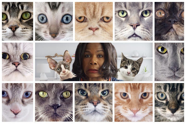 ramona holloway cat
