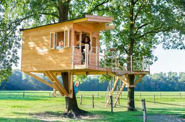 ramoan treehouse 2020