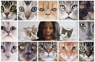 ramona holloway cat