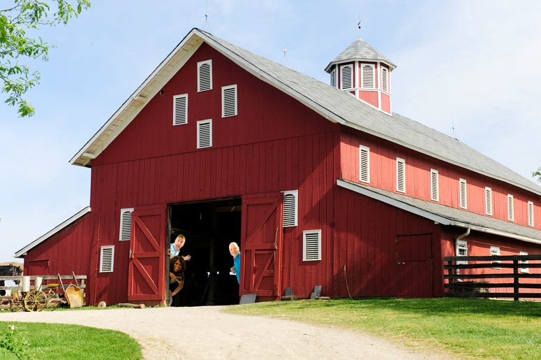 bandy barn brain wheezy birthday
