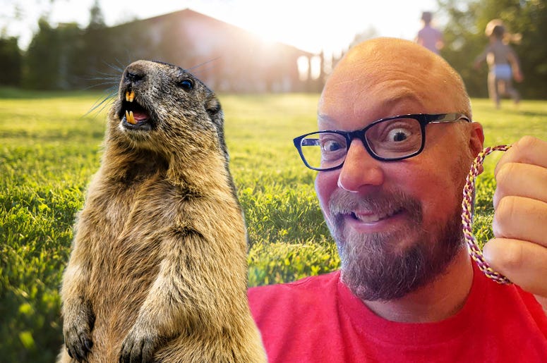 bandy vs the woodchuck