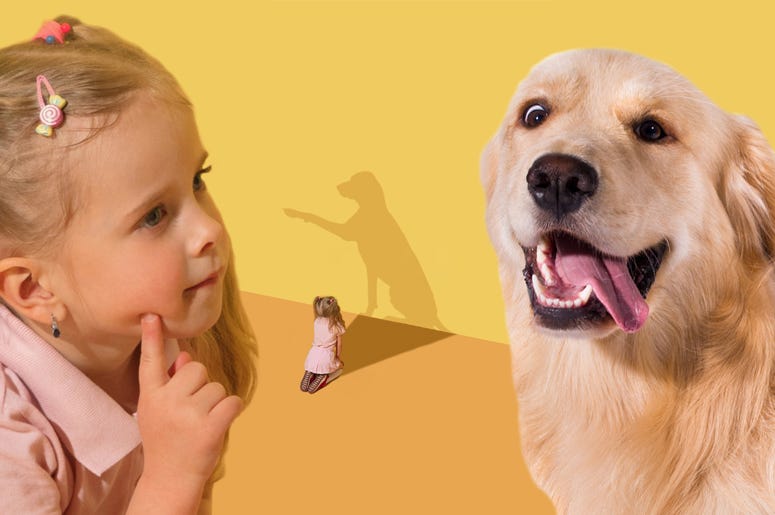 avery harris dog