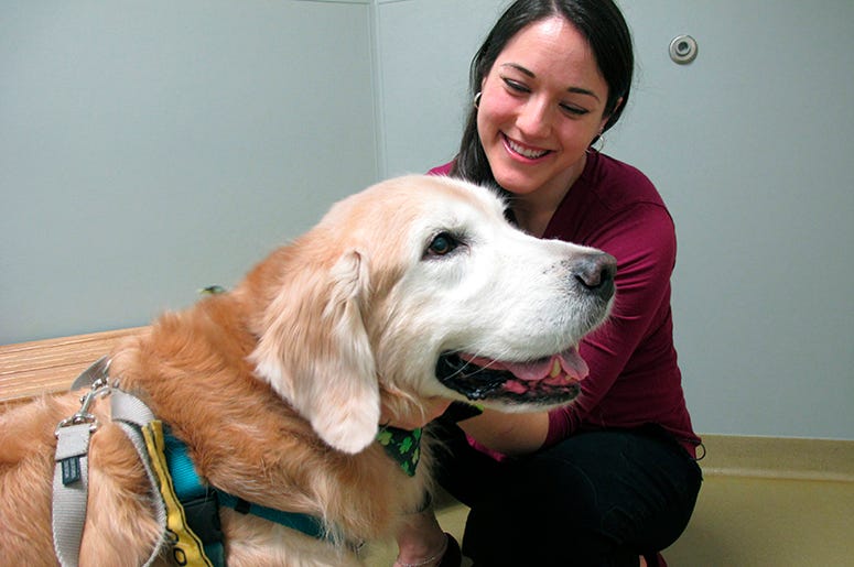 Fresh Pets AP_Newsroom_Dee-Ann_Durbin_Pets_Pet_Food