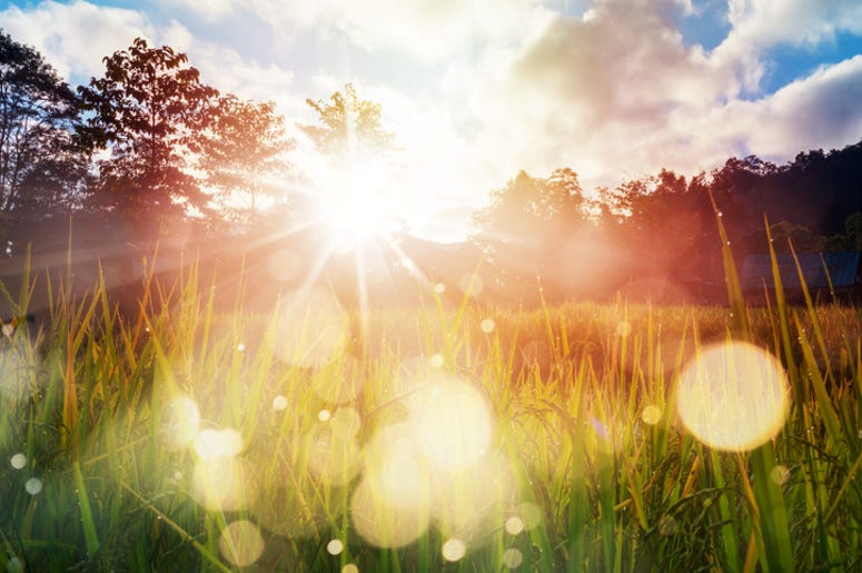 Let the sunshine in always Sunny side up