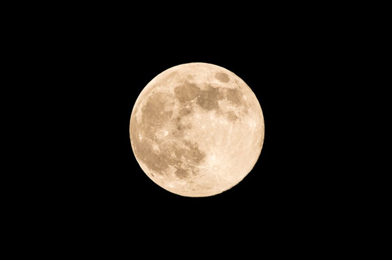 Moon Moon