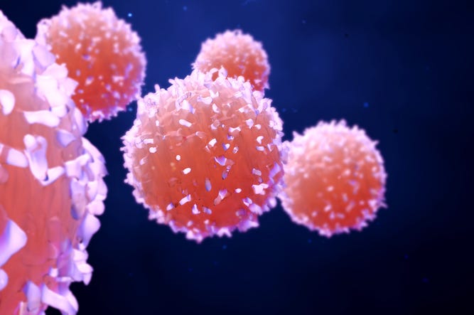 3D Illustration of Cancer Cells known as Lymphocytes Cancer_Miami_Health_Insurance