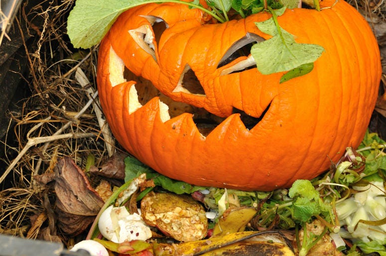 5 Ways to Recycle Your Halloween Pumpkins Old Jack-O-Lantern in a compost bin