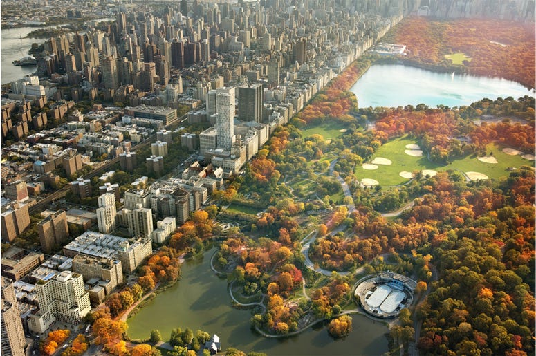 Skyscrapers and Fall Foliage in Central Park