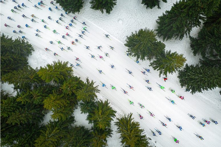 A Shoal of Colorful Fish The photo shows cross-country skiers during the Ski Racing Festival "Bieg Piastów" competition in Poland. From the sky, the skiers look like a shoal of colorful fish floating among coral reefs.