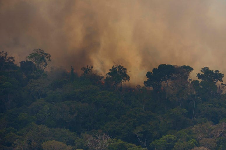 El fuego consume la jungla cerca de Porto Velho, Brasil, el viernes 23 de agosto de 2019. Los expertos estatales brasileños han reportado un récord de casi 77.,000 incendios forestales en todo el país en lo que va del año, un 85% más que en el mismo perío El fuego consume la jungla cerca de Porto Velho, Brasil, el viernes 23 de agosto de 2019. Los expertos estatales brasileños han reportado un récord de casi 77.,000 incendios forestales en todo el país en lo que va del año, un 85% más que en el mismo perío