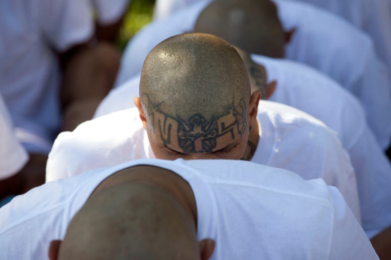 ombres encarcelados identificados por las autoridades como miembros de la Mara Salvatrucha (MS) están sentados esposados mientras son transferidos a la prisión de alta seguridad de Zacatraz en Zacatecoluca, El Salvador. ombres encarcelados identificados por las autoridades como miembros de la Mara Salvatrucha (MS) están sentados esposados mientras son transferidos a la prisión de alta seguridad de Zacatraz en Zacatecoluca, El Salvador.