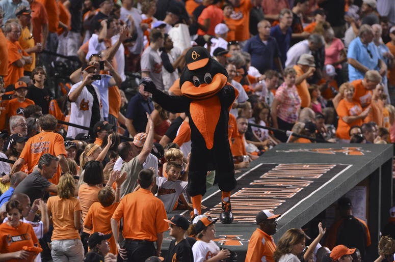 Orioles mascot at Camden Yards Orioles mascot at Camden Yards