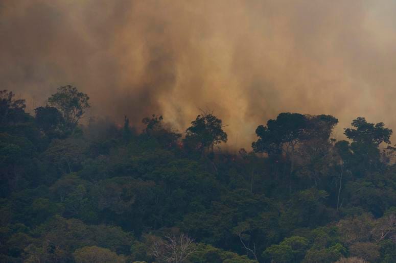El fuego consume la jungla cerca de Porto Velho, Brasil, el viernes 23 de agosto de 2019. Los expertos estatales brasileños han reportado un récord de casi 77.,000 incendios forestales en todo el país en lo que va del año, un 85% más que en el mismo perío El fuego consume la jungla cerca de Porto Velho, Brasil, el viernes 23 de agosto de 2019. Los expertos estatales brasileños han reportado un récord de casi 77.,000 incendios forestales en todo el país en lo que va del año, un 85% más que en el mismo perío