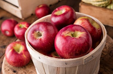 Apples Apples