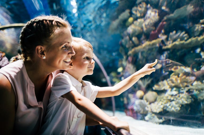 Mother and son watching sea life in oceanarium