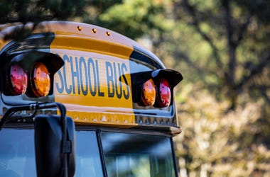 school bus school bus