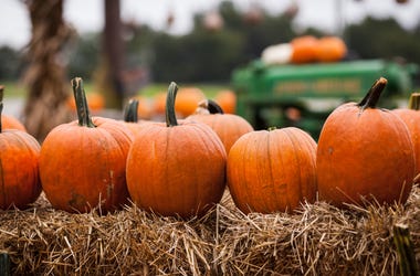 halloween 2020 halloween 2020