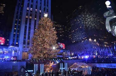 Tis the season, if you need a reason. tree