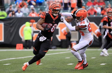 browns bengals