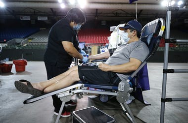 This won t hurt a bit blood donor