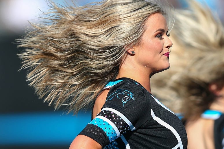 he Carolina Panthers cheerleaders perform during the second quarter against the Washington Redskins at Bank of America Stadium. he Carolina Panthers cheerleaders perform during the second quarter against the Washington Redskins at Bank of America Stadium.