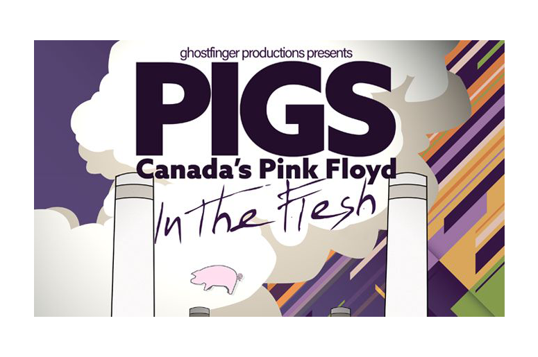 pigs