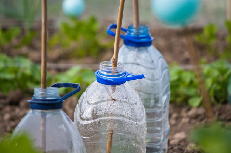 Recycled bottles in a garden