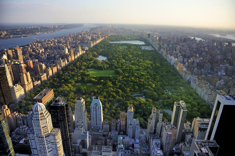 NYC's Central Park