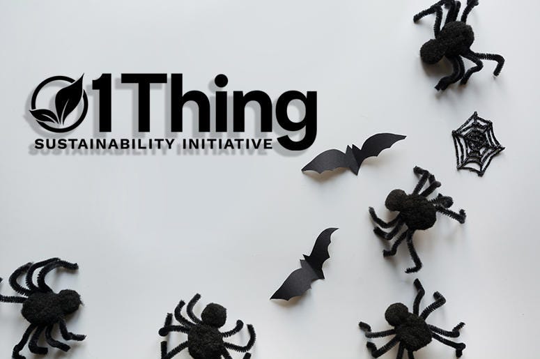 DIY Halloween Decorations