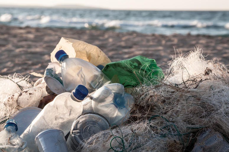Waste on the beach