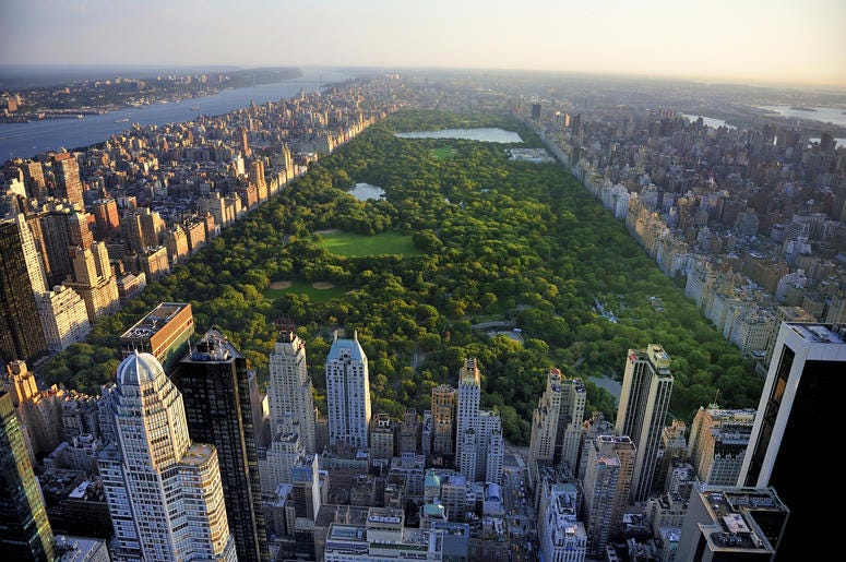 NYC's Central Park