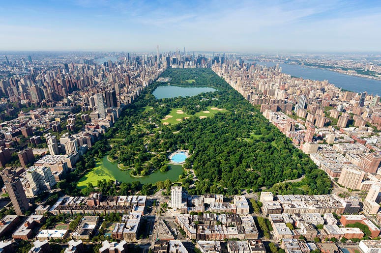 Central Park NYC