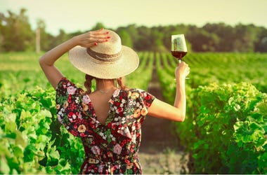 girl drinking in vineyard girl drinking in vineyard