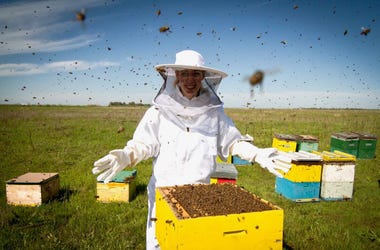 beekeeper beekkeeper