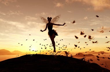 fairy fairy