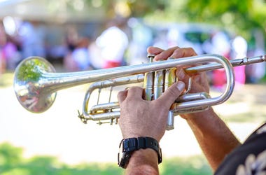 trumpet trumpet