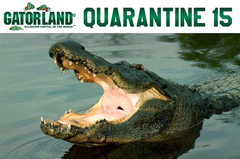Gatorland Quarantine 15