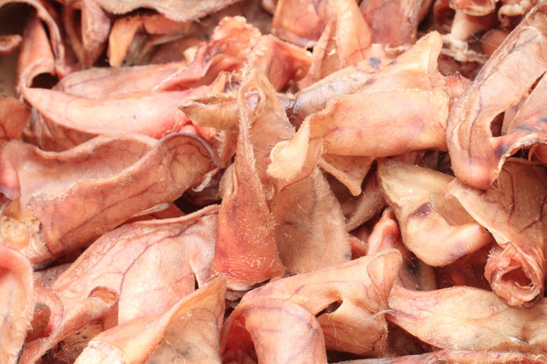 pig ears pig ears