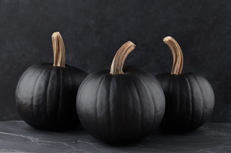 they're just pumpkins they're just pumpkins