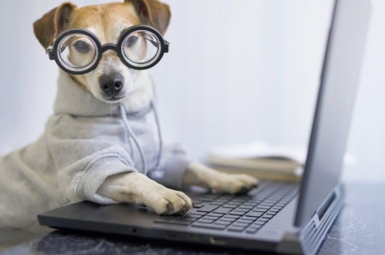 working like a dog? working like a dog?